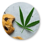 CBD Recipes – Cannabis Cookies