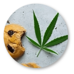 CBD Recipes – Cannabis Cookies