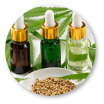 CBD Recipes – Cannabis Oil