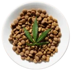 CBDGOD – cbd food for dogs – cannabis food