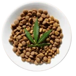 CBDGOD – cbd food for dogs – cannabis food
