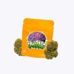 AMNESIA 47