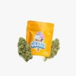 GELATO