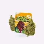 GORILLA GRILLZ FLORES