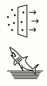 Shark out of water cbdgod hemp smoking pipe design